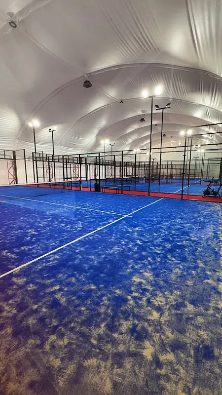 padel teren beograd - Think Padel