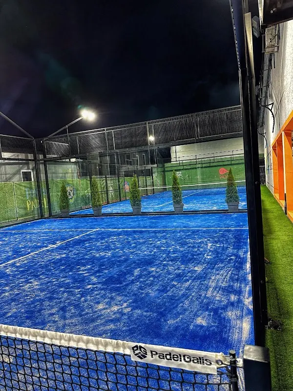 padel teren beograd - Tokyo padel